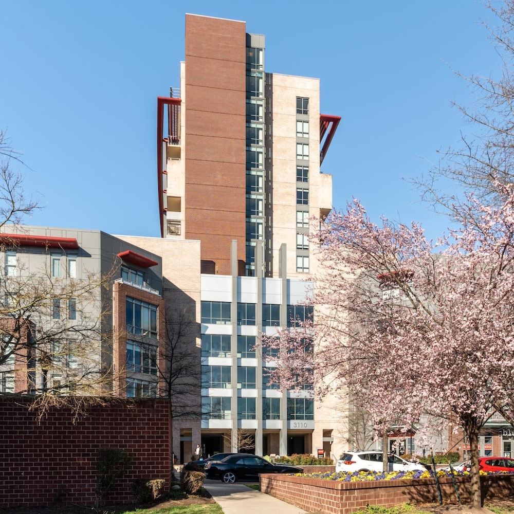 kasa alexandria washington