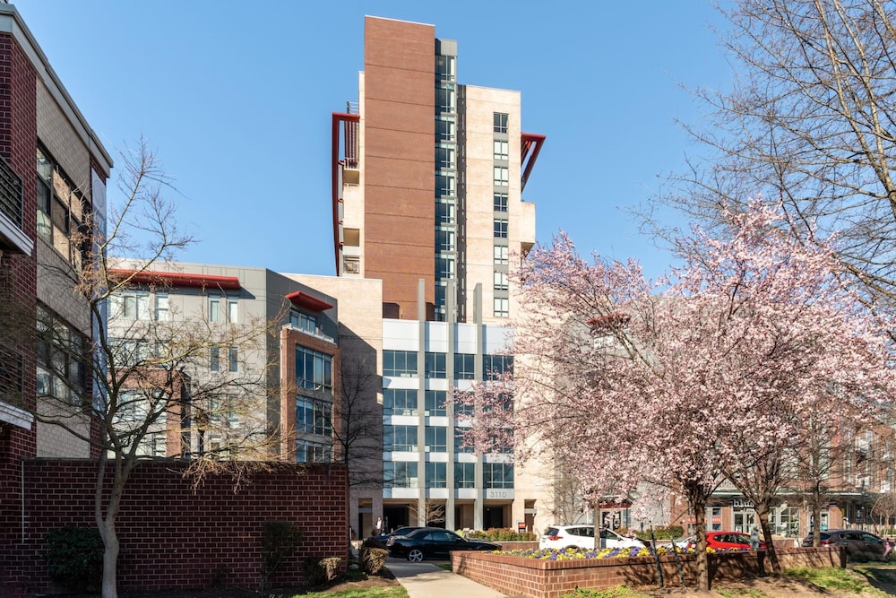 kasa alexandria washington