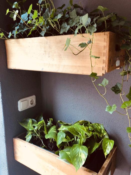 wieler wellness huuske