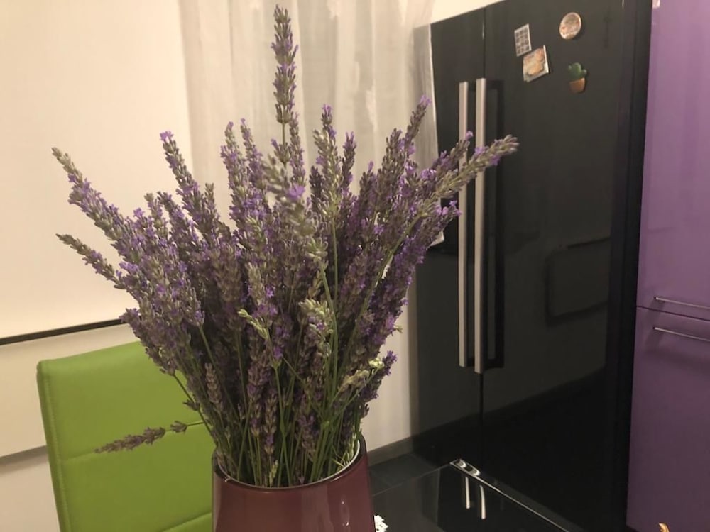 casa di lavanda
