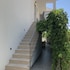 hvar