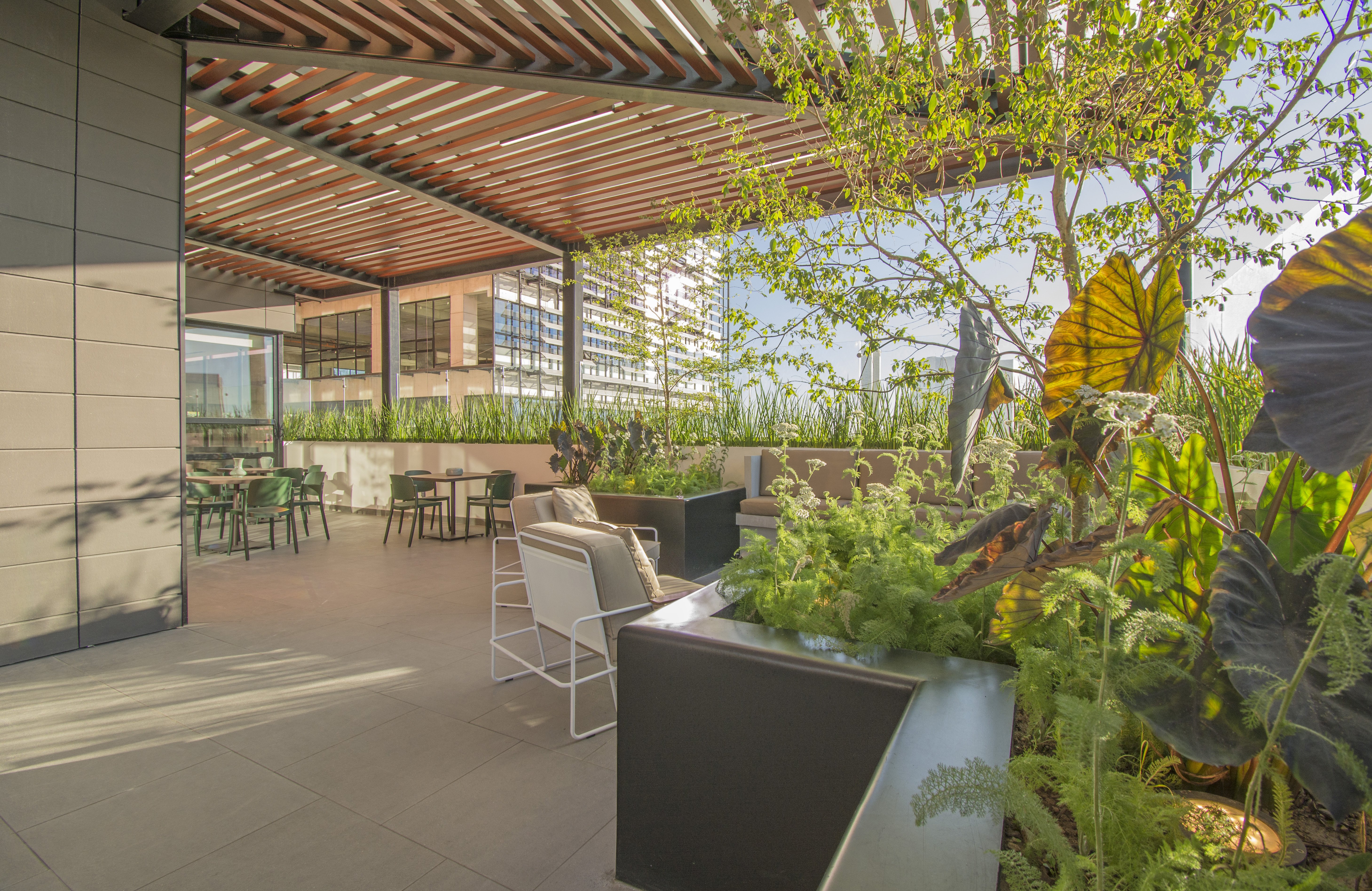 staybridge suites guadalajara novena an ihg hotel