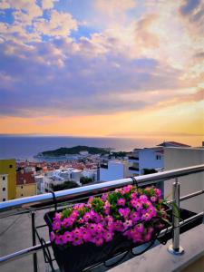 apartments pavlinovic
