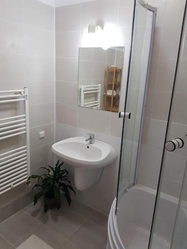 olala forest apartments