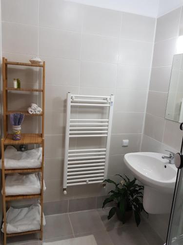 olala forest apartments