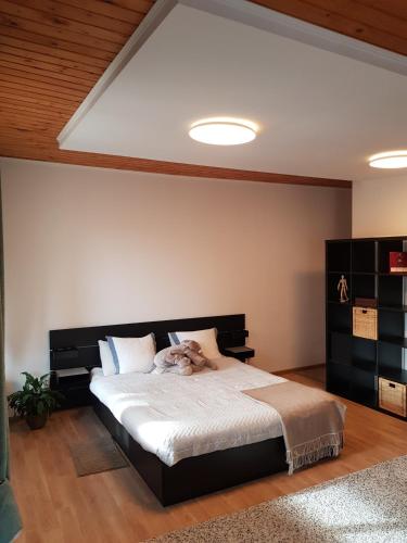 olala forest apartments