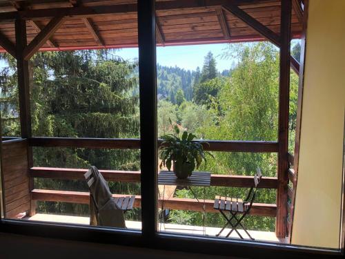 olala forest apartments