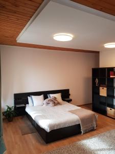 olala forest apartments