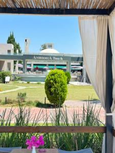 hotel ambrosia