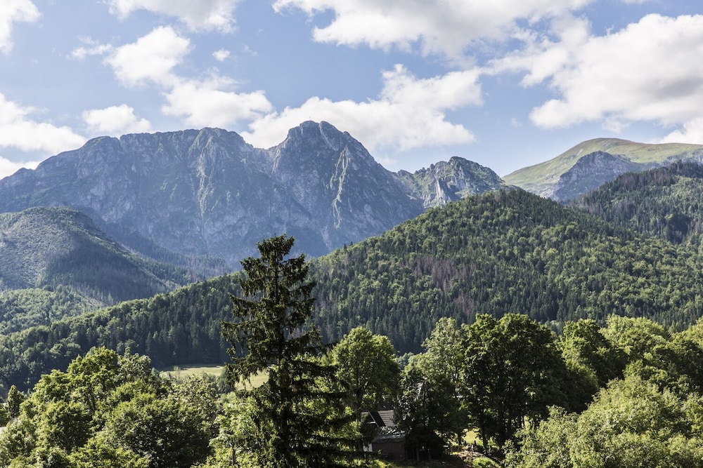 royal hill residence