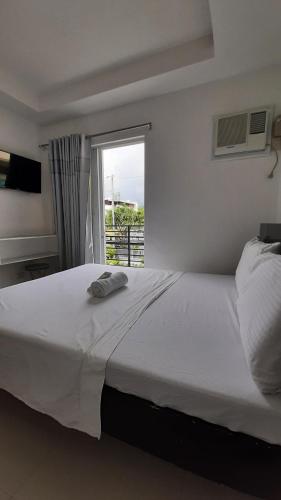 livewire planet suites