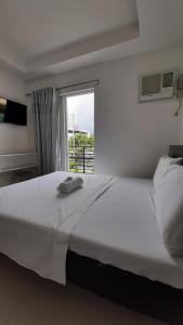livewire planet suites