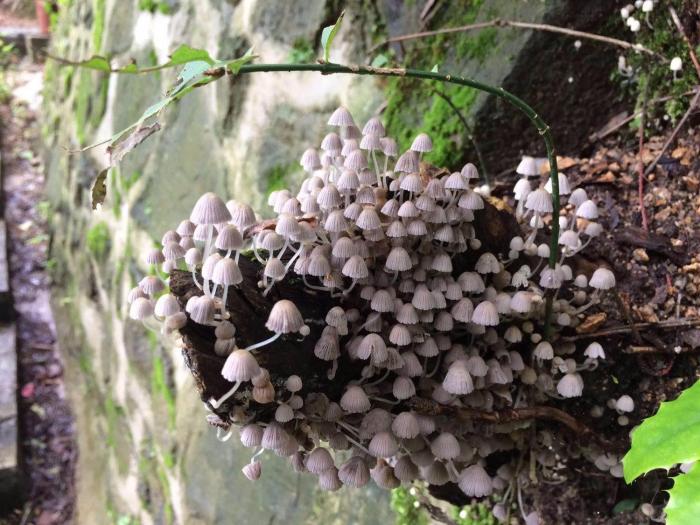 7days inn hanzhong tianhan avenue south station