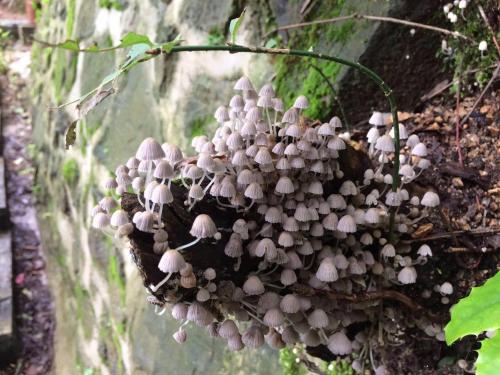 7days inn hanzhong tianhan avenue south station