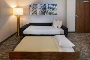 springhill suites by marriott dallas richardson university area