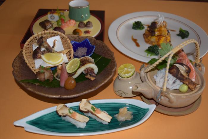 the gran resort amanohashidate