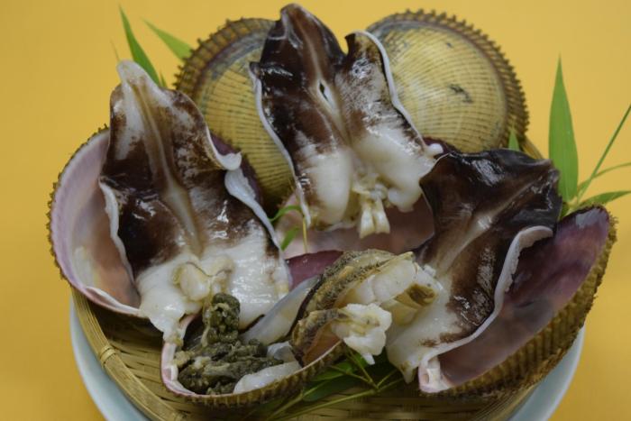 the gran resort amanohashidate