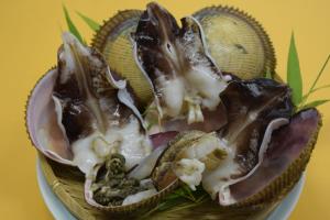 the gran resort amanohashidate