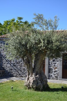 Bosco Ciancio,Biancavilla>>Adrano,3 star
