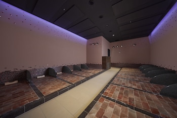 hotel villa fontaine grand tokyo ariake