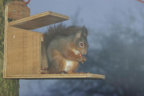 craigadam country house hotel by castle douglas