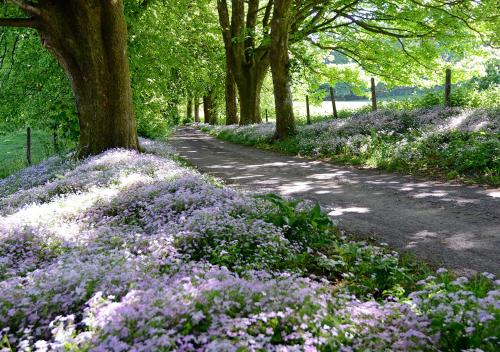 craigadam country house hotel by castle douglas