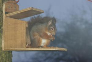 craigadam country house hotel by castle douglas