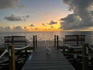 grand caymanian resort