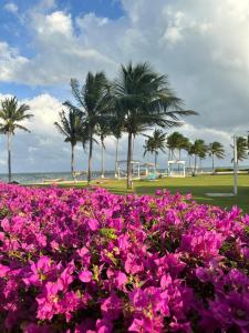 grand caymanian resort