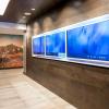 springhill suites by marriott truckee