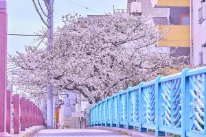 tokyo bay shiomi prince hotel