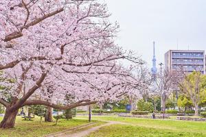 tokyo bay shiomi prince hotel