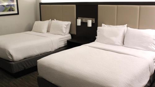holiday inn express buffalo ne lockport