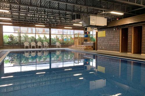 super 8 by wyndham hearst on