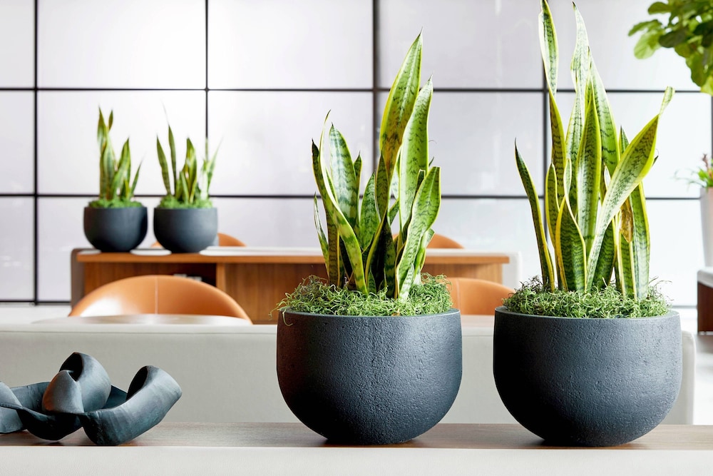 ac hotel by marriott greenville