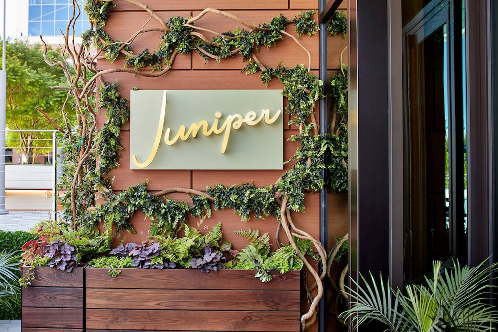 ac hotel by marriott greenville