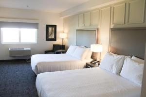 best western plus winkler