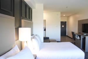 best western plus winkler