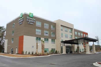 Holiday Inn Express & Suites Latta, An Ihg Hotel,Dillon County>>Dillon,2.5 star