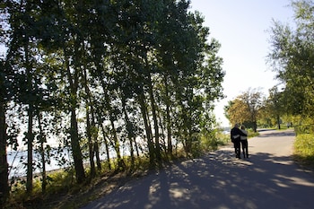 towneplace suites by marriott hamilton