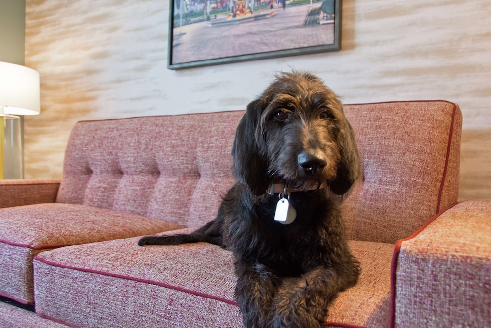 home2 suites by hilton boston south bay