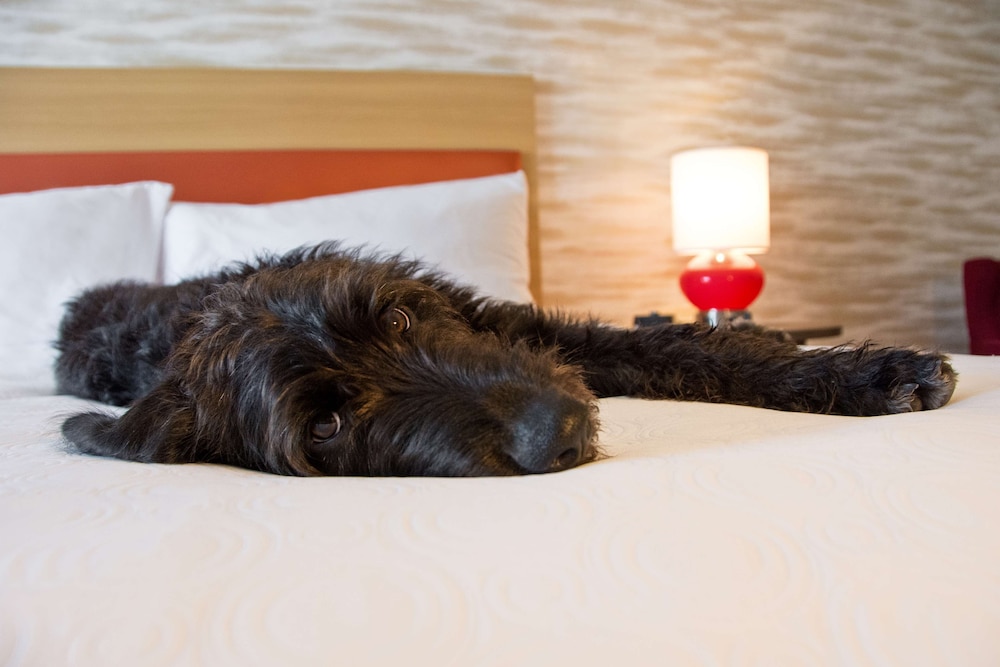 home2 suites by hilton boston south bay