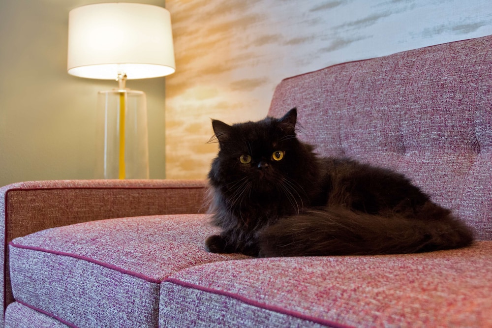 home2 suites by hilton boston south bay