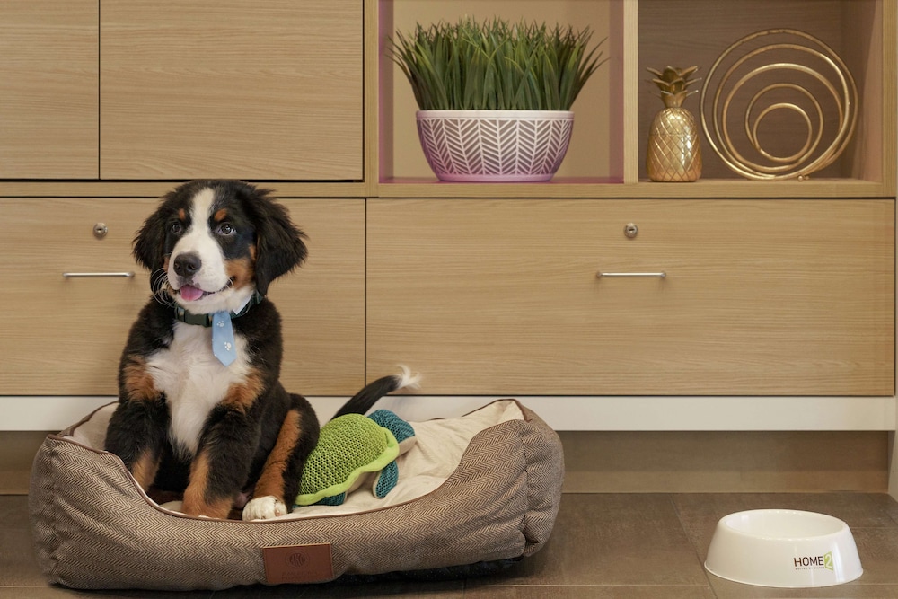 home2 suites by hilton ephrata