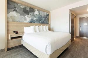 best western plus settlers point