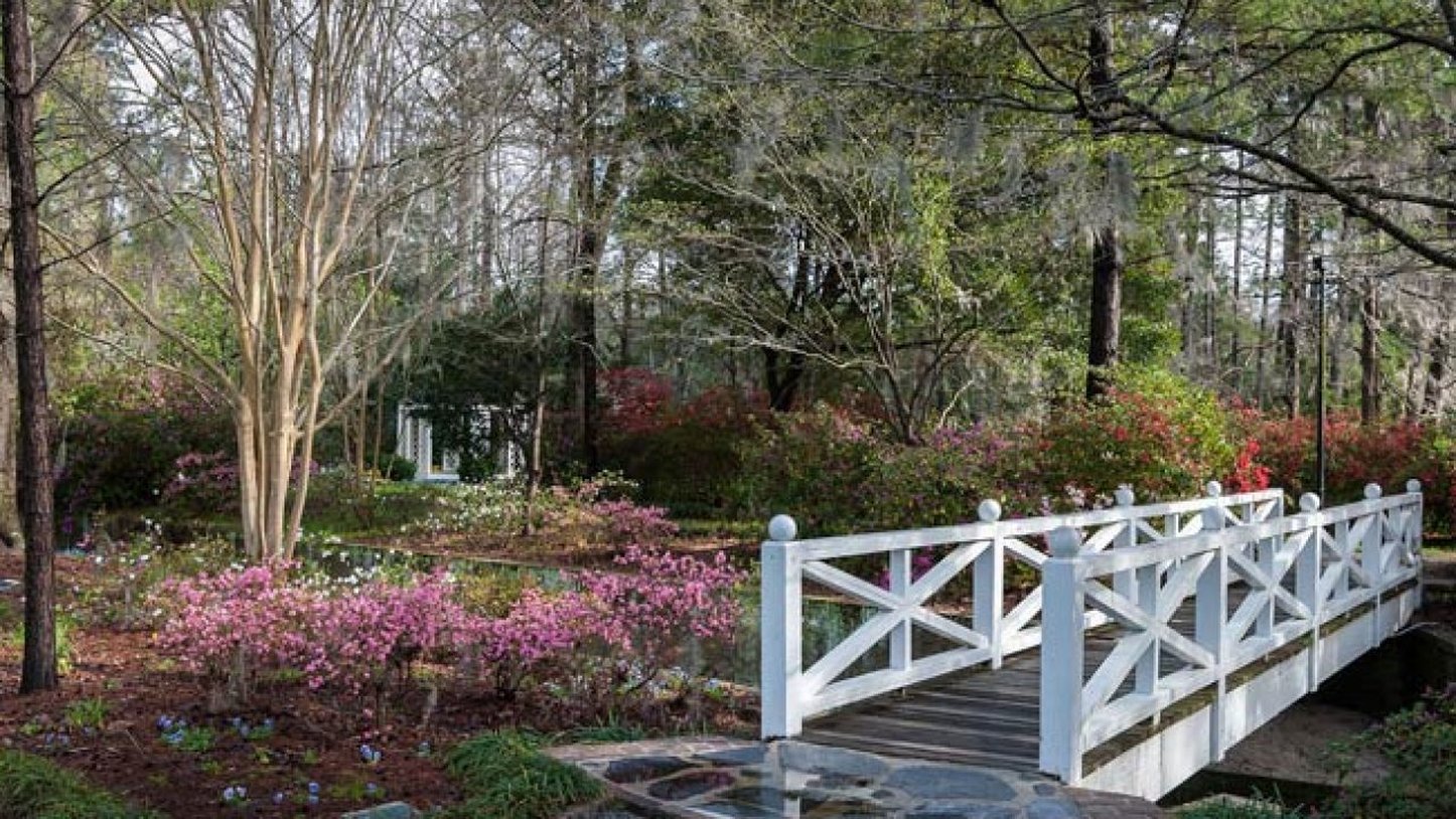 avid hotel summerville an ihg hotel
