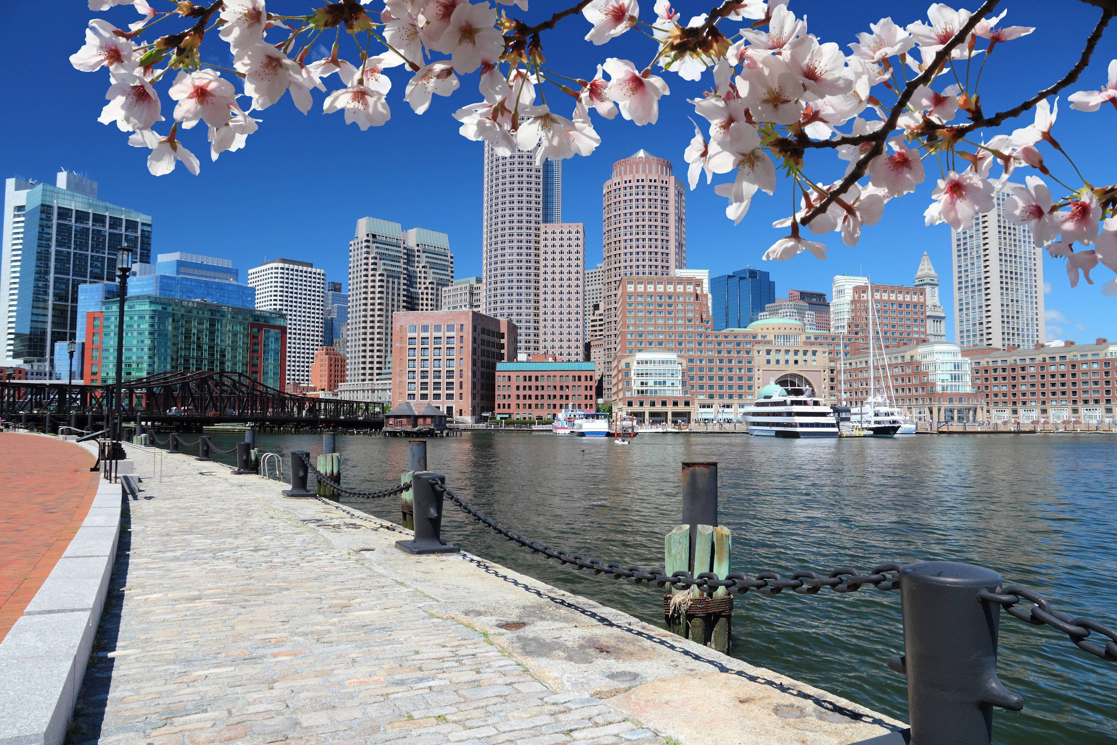 avid hotel boston logan airport revere