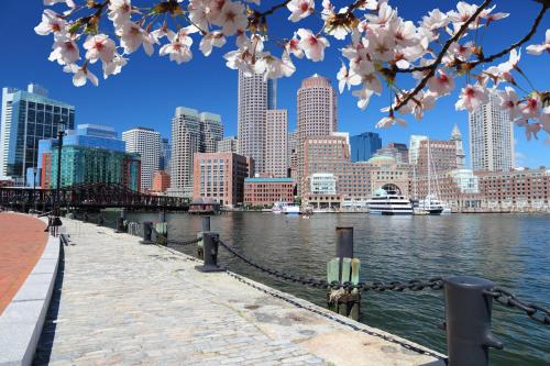 avid hotel boston logan airport revere