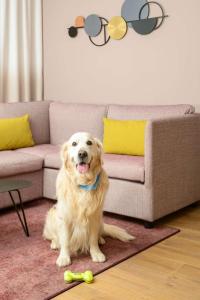 hyatt house paris charles de gaulle airport