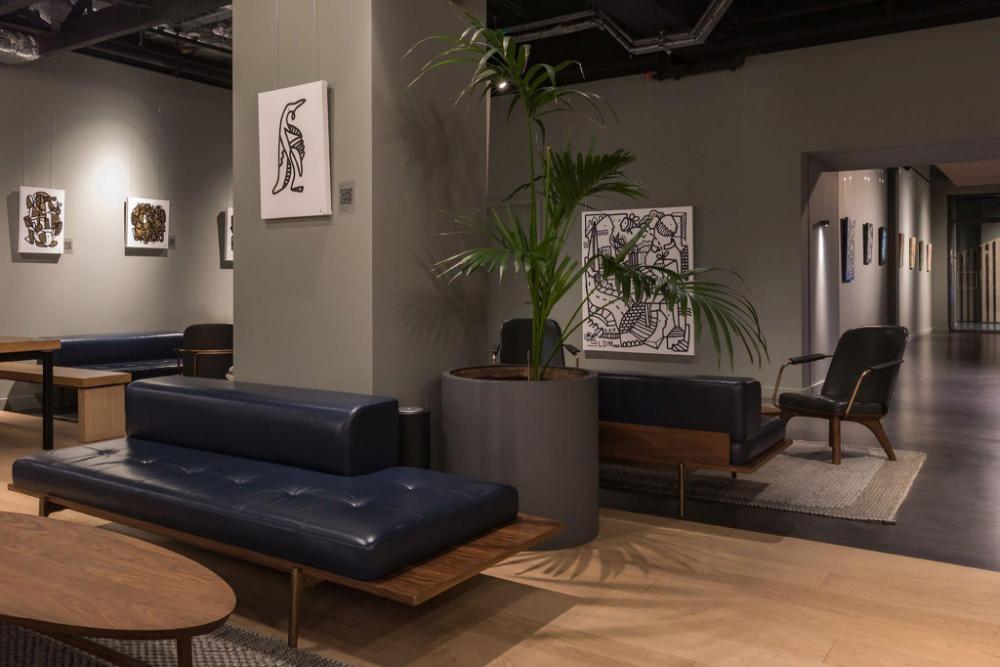 zedwell piccadilly circus